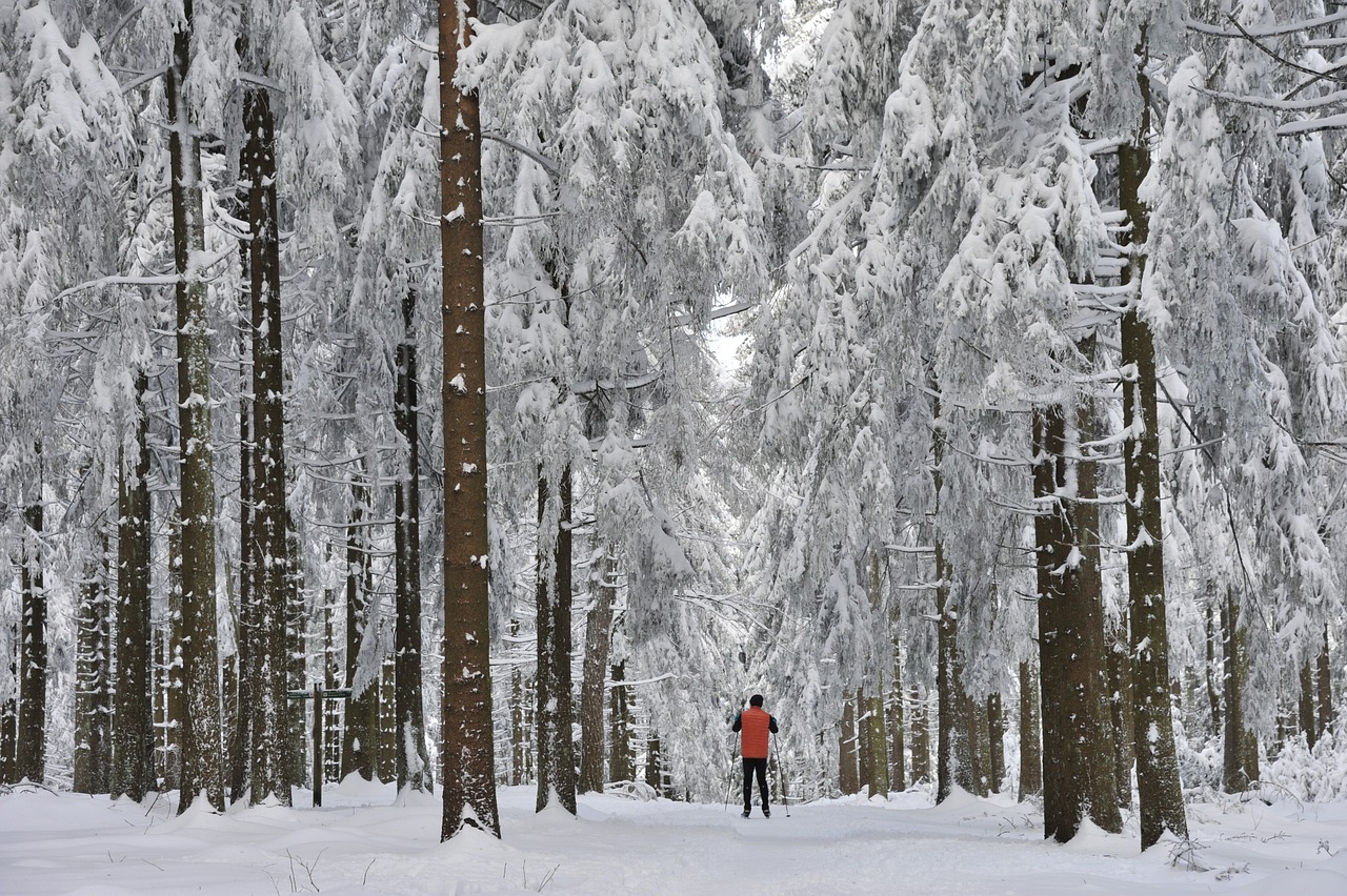 The Ultimate Guide to Cross-Country Skiing in Jackson Hole